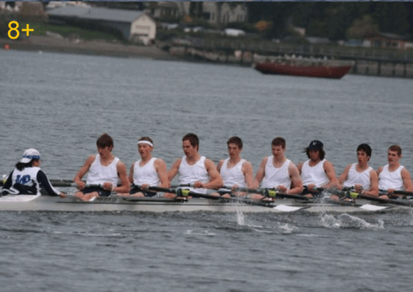 0239_Rowers/image3.webp