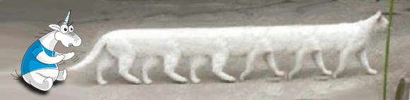 0647_Bullet3D_physics/image4.webp