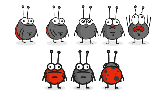 0977_About_our_bug/image7.webp